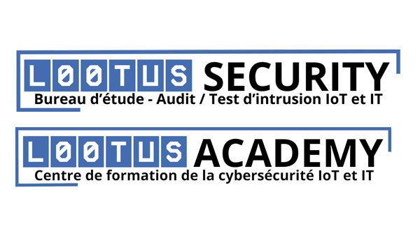 governmental-hackers-working-together-digital-security-cyber-defense logos lootus anciens