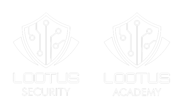 governmental-hackers-working-together-digital-security-cyber-defense lootus security academy new