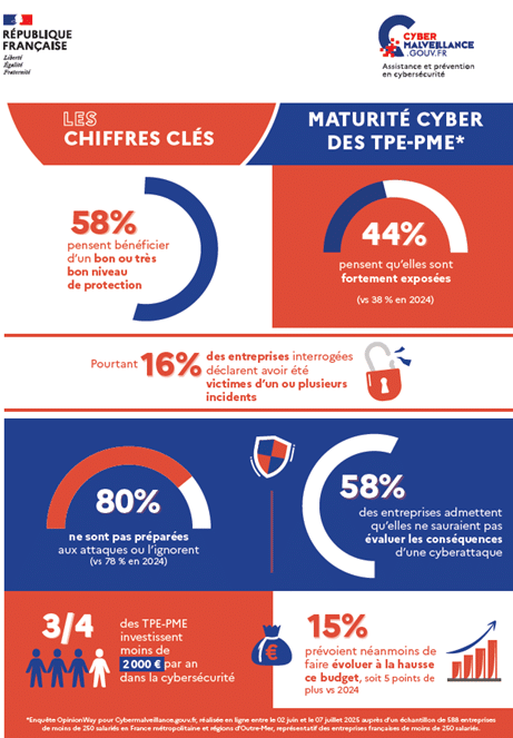 Test d'intrusion Web : un levier essentiel de sécurité 1 image
